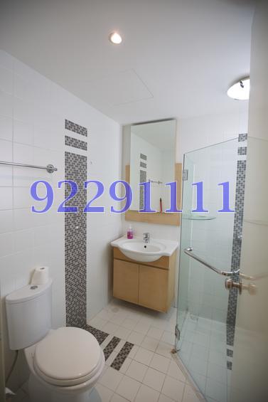 Dahlia Park Condominium (D17), Condominium #76351022